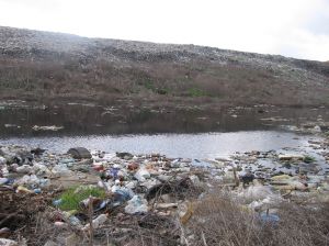 Народ не візьмеш на Макухівку…